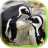 icon Pinguin live wallpaper 1.5