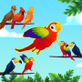 icon Bird Sort - Color Birds Game
