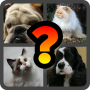 icon Guess the Animal: Cat or Dog? for Samsung Galaxy J2 DTV