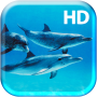 icon Underwater Dolphins Live Wallpaper