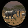 icon Animal Hunter 3D Africa