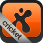 icon fanatix cricket