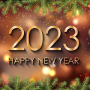 icon Happy new year 2023 wallpaper for Samsung S5830 Galaxy Ace