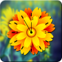 icon Sunflower Clock Live Wallpaper