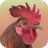 icon Rooster Sounds 2.0