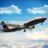 icon Flight Simulator 2.0.2