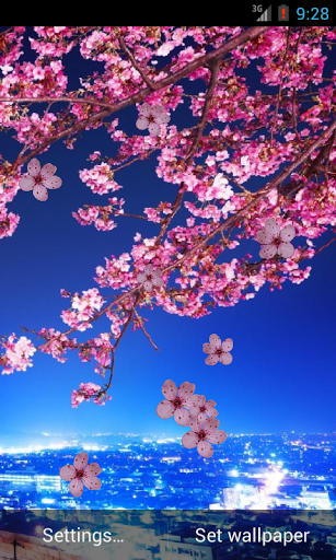 Free download Sakura Live Wallpaper HD APK for Android