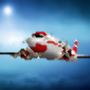 icon Flight Unlimited HD Sim (Free)