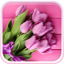 icon Pink Tulips Live Wallpaper