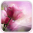 icon Pink Roses Live Wallpaper 7.0