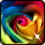 icon Roses flower Wallpapers