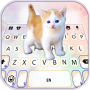 icon Cutie Kitten Keyboard Background