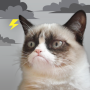 icon Grumpy Cat Weather for iball Slide Cuboid