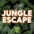 icon Jungle Runner 0.2