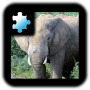 icon Jigsaw Puzzle: Elephant for iball Slide Cuboid