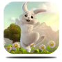 icon Day rabbit Live Wallpaper