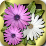icon Flower Slots Machine Free for Huawei MediaPad M3 Lite 10