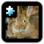 icon Rabbit Puzzle