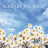 icon com.newandromo.dev6813.app802701 2.4.4