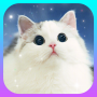 icon Cute Cat Wallpapers 4K -Free Kitten HD Backgrounds