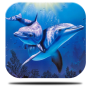 icon River Dolphin Live Wallpaper for Sony Xperia XZ1 Compact