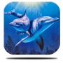 icon River Dolphin Live Wallpaper for Samsung Galaxy Grand Prime 4G