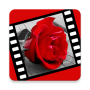 icon Love Quotes & Love Story Videos