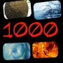 icon 4 Pics 1000 words for Samsung S5830 Galaxy Ace
