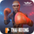 icon Thai Boxing 21 1.15