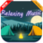 icon Relaxation Music 5.1