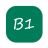 icon B1V Player 1.0