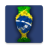 icon Copa America 2021 2.7.0
