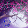 icon Beauty Ramadan Live Wallpaper
