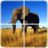 icon Animal Puzzle 1.3.7