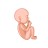 icon Pregnant Run 3D 0.6