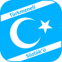 icon Turkmeneli Dictionary
