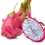 icon Exotic Fruit Memory for Doopro P2