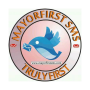 icon MayorfirstSMS for tecno F1