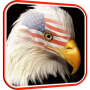 icon USA Eagle Live Wallpaper