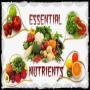 icon Essential Nutrients