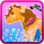 icon Horse Princess Wash and Cleanup