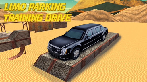 Limo Parking Training Drive