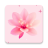 icon Femin 1.1