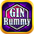 icon Gin Rummy 3.5