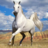 icon Horse Jigsaw Puzzles 2.12.10