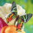 icon Butterfly Jigsaw Puzzles 2.11.02