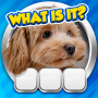 icon Guess it! Zoom Pic Trivia Game for phicomm Clue 630