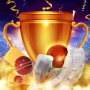 icon Your Cricket Victory