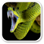 icon SNAKE