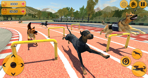 Dog Racing Action Game